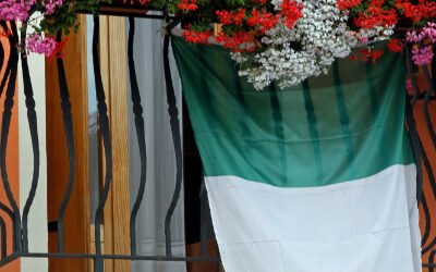 Übungen zur Grammatik